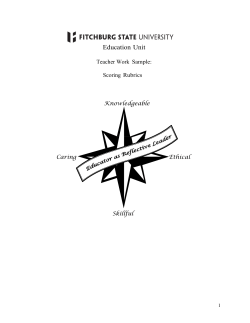 Microsoft Word - TWS Rubric 1 14 07.doc