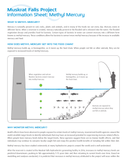 Muskrat Falls Project Information Sheet: Methyl Mercury