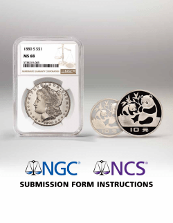 SUBMISSION FORM INSTRUCTIONS