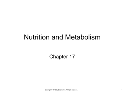 Chapter 16 Nutrition and Metabolism