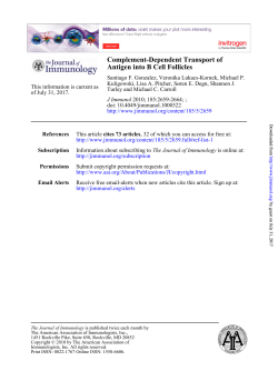 Antigen into B Cell Follicles Complement