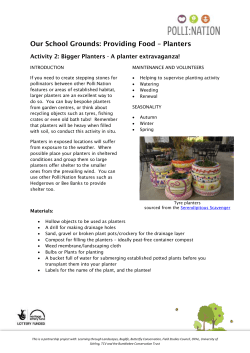 Activity 2 - Larger planters for your patch docx