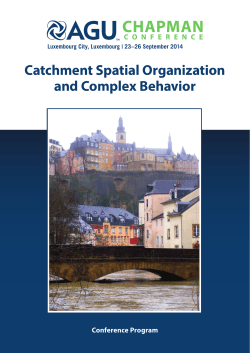 Catchment Spatial Organization and Complex Behavior