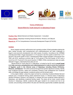 Terms of Reference Decent Work for Youth Using ICT in Qalyubeya