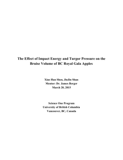 The Effect of Impact Energy and Turgor Pressure on the Bruise