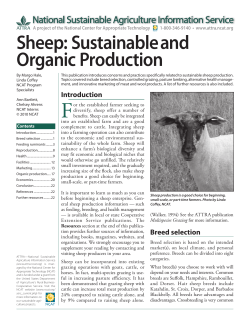 Sheep: Sustainable and Organic Production - ATTRA