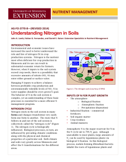 Understanding Nitrogen in Soils - University of Minnesota Extension