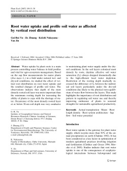 Root water uptake and profile soil water as affected by vertical root