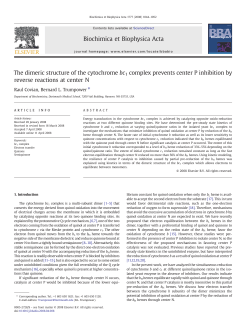 The dimeric structure of the cytochrome bc1 complex prevents