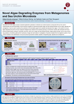 Novel Enzymes for the Degradation of Algal Cell Walls