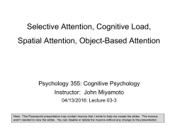 Selective Attention, Cognitive Load, Spatial Attention, Object