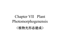 6. PHYTOCHROME RESPONSES VARY IN THE AMOUNT OF
