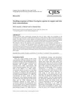 Seedling response of three Eucalyptus species to copper and zinc