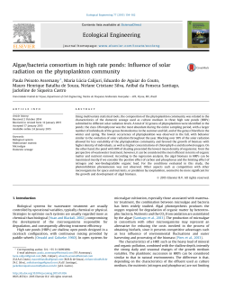 Algae/bacteria consortium in high rate ponds: Influence of solar