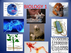 Chapter 1 The Science of Biology