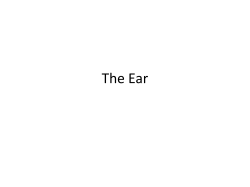 The Ear - Northwest ISD Moodle