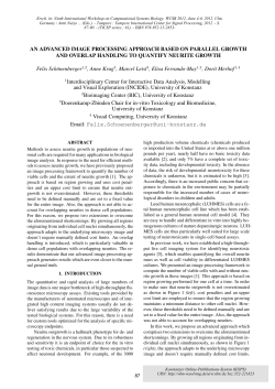 An advanced image processing approach based