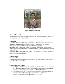 Curriculum Vitae - Kansas State University