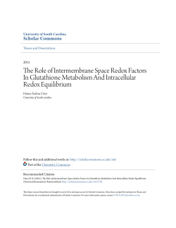 The Role of Intermembrane Space Redox Factors In Glutathione