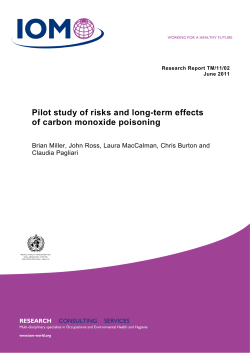 Pilot study of risks and long-term effects of carbon monoxide poisoning