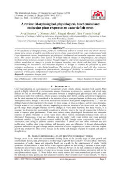 A review: Morphological, physiological, biochemical and
