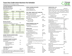 Team One Credit Union Business Fee Schedule