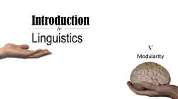 modularity - Moodle BGU