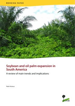 Soybean and oil palm expansion in South America
