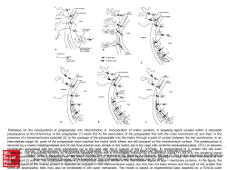 Slide 1 - Ommbid.com