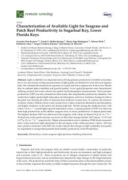 Characterization of Available Light for Seagrass and Patch Reef