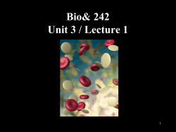 Bio 242 Unit 3 Lecture 1 PP