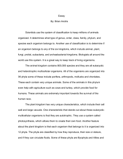 Essay By: Brian Andris Scientists use the system of classification to