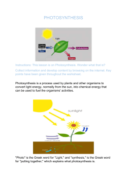 LP BandCD Science 13 Photosynthesis