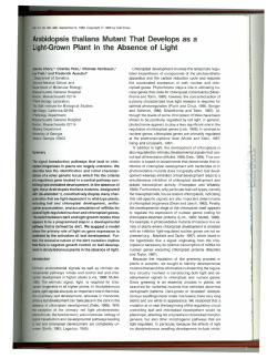 Arabidopsisthaliana Mutant That Develops as a Light