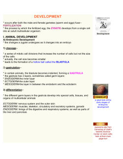 GoldiesDevelopmentNotes - Farmingdale School District