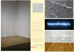 Double-Take: The Poetics of Illusion and Light