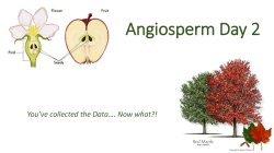 Angiosperm Day 2