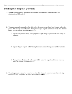 Bioenergetics Response Questions
