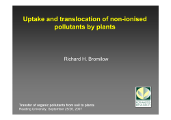 Uptake and translocation of non