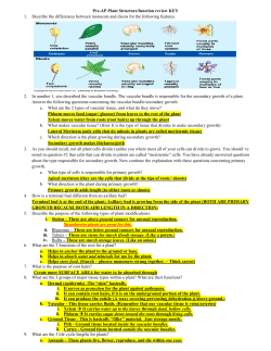 Unit 11 (Plants) Study Guide KEY