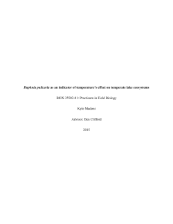 Daphnia pulicaria as an indicator of temperature`s effect on