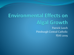 Environmental Effects on Algal Growth