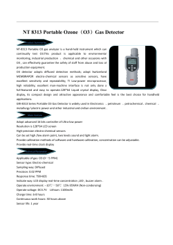 NT 8313 Portable Ozone（O3）Gas Detector