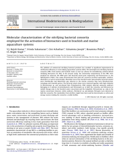 Molecular characterization of the nitrifying bacterial consortia