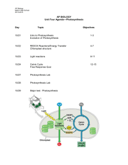 AP Unit 4 Agenda 12-13.doc
