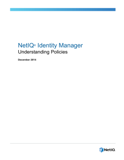NetIQ Identity Manager Understanding Policies Guide