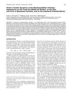 Proton Transfer Dynamics at the Membrane/Water Interface