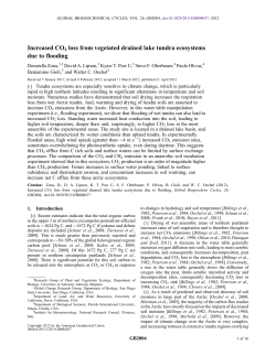 Increased CO2 loss from vegetated drained lake tundra ecosystems