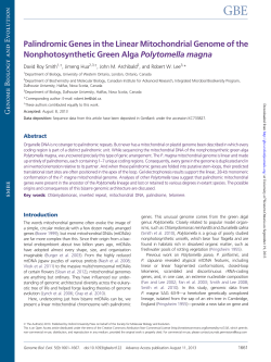 Palindromic Genes in the Linear Mitochondrial Genome of the