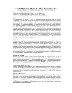 LIGHT AND WATER USE IN MAIZE (ZEA MAYS)